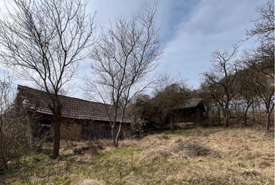 De vanzare Casa cu teren in comuna Blandiana, jude?ul Alba - 3