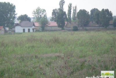 Teren de 500 mp, în Agigea