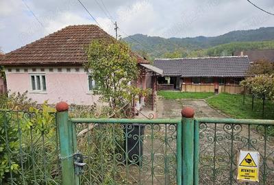 Casă cu Teren 445 Mp în Țărățel - 4