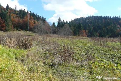 Teren de 1634 mp, în Valea Râșnoavei - 4