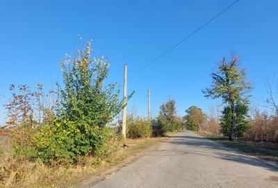 TEREN INTRAVILAN, 1800 mp langa Hornbach - 4