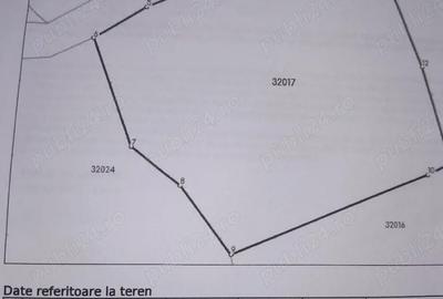 Teren de 3037 mp, în Marga - 5