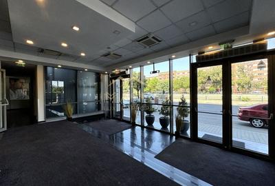 Spatiu comercial stradal *184mp* + curte *260mp* // Grozavesti - 18