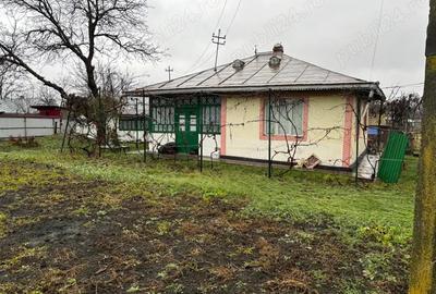Casa batraneasca cu anexe si teren in Viisoara, intravilan - 6
