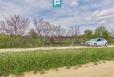 Teren agricol extravilan de 6150 mp, în Giroc - 7