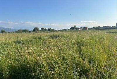 Teren 437 mp, stupini, intravilan, PUZ , CU. - 3