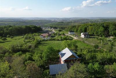 Pietrarie Vila P+1 s=164mp garaj beci teren 2000mp livada vie zona verde - 2