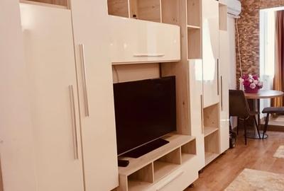 Garsonieră semidecomandată în Dristor - 8