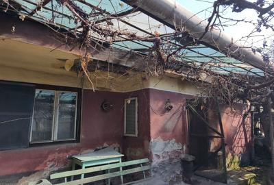 Casă cu 4 camere cu Teren 300 Mp în Gheorghe Doja - 3