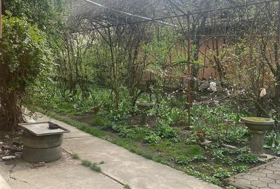 Casă în Viișoara - 2