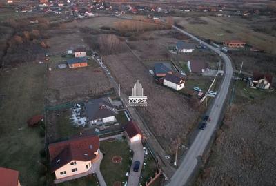 Teren de 2016 mp, în Tăuții-Măgherăuș - 3