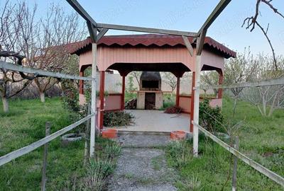 Casuta la mare cu mult teren - 3