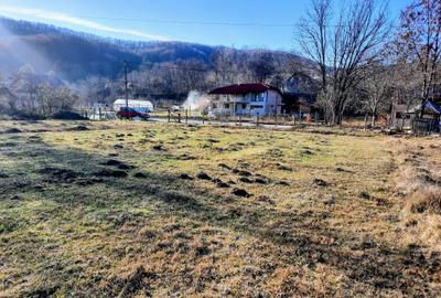 Teren de 5296 mp, în Est - 5