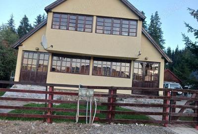 Cabana duplex an luncile prigoanei domeniul schiabil SURIANU - 1