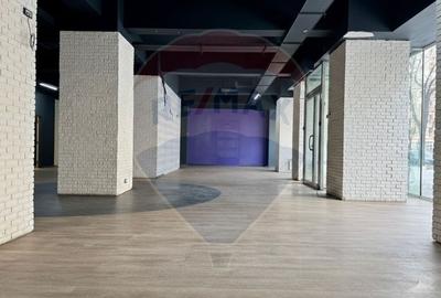 Spațiu comercial, de 272 mp, în Moșilor - 8