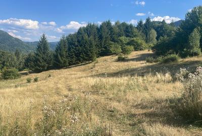 Teren de Vânzare în Râșnov, Glăjerie - Un Refugiu Perfect - 2