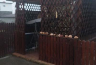 Casă cu 4 camere în Sibioara - 4