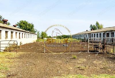 Teren intravilan cu potential de investitie 62000mp - 7