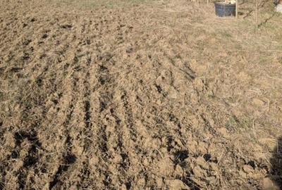 Teren extravilan de 5000 mp, în Fântânele - 2