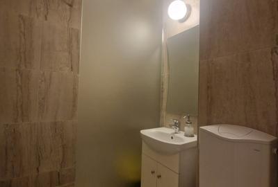 Apartament cu 3 camere decomandat în Baba Novac - 11