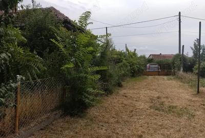 Casa de vanzare in Domanesti - 4