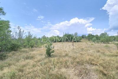 Proprietate in apropiere de complex turistic Mu?ete?ti - 3