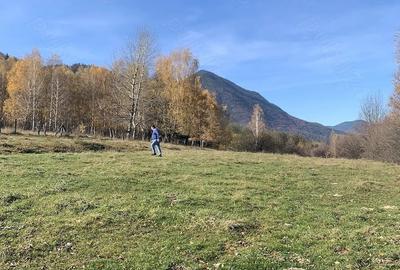 Teren de 1000 mp, în Predeluț - 2