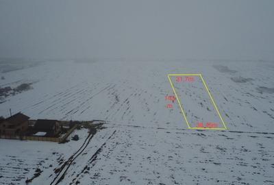 Teren Construcții intravilan de 5000 mp, în Ciorogârla - 2