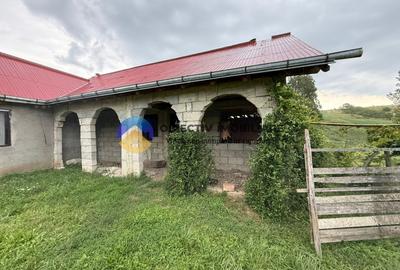 Casa de vanzare - GHINDAOANI - 16