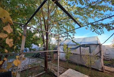 Vila individuala P+1E, luminoasa, constructie 2017, Comuna Berceni - 3