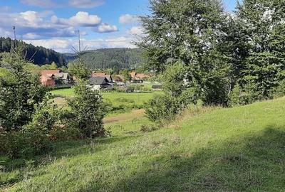 Teren de 2500 mp, în Central