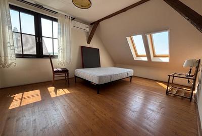 Hotel/Pensiune, de 300 mp, în Paleu - 12