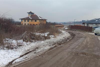 Teren Construcții intravilan de 6383 mp, în Vișan - 3