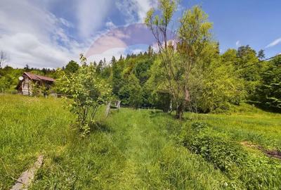 Casă cu 3 camere cu Teren 1614 Mp în Sita Buzăului - 13