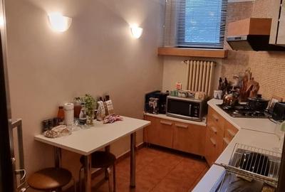 Bd. Lascar Catargiu terasa unica - 9