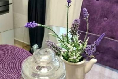 Apartament 2 C. parcare privata Palas Mall ,Centru, Palatul Culturii - 4