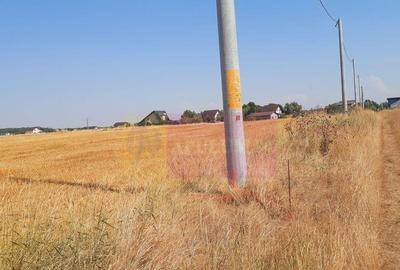 Teren pentru casa/case in Brane?ti pe strada Topora?i - 32