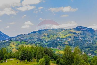 COMISION 0% Teren 10,594mp Pestera /Intravilan - 7
