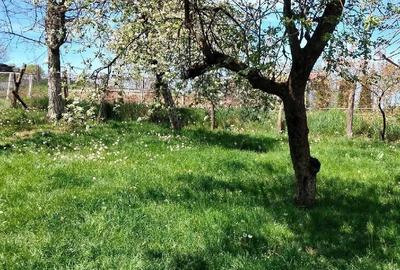 Casă cu Teren 3000 Mp în Central - 1