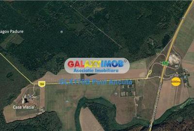 Teren intravilan de 6000 mp, în Snagov - 3