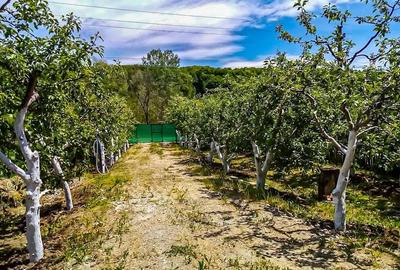 Casă cu 3 camere în Boțești - 7