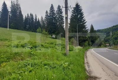 Teren de 9975 mp, în Predeal - 2