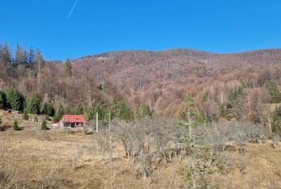 Teren de 16600 mp, în Petros - 2