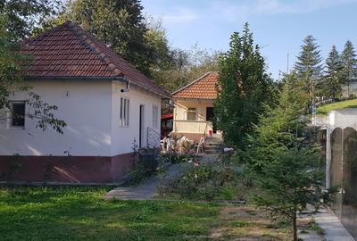 Casă individuală cu 3 camere cu Teren 16000 Mp în Govora - 6