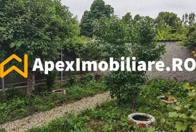 Casă cu 3 camere cu Teren 180 Mp în Băneasa - 6
