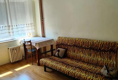 Garsonieră semidecomandată în Nufărul - 10