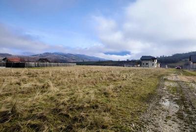 Zona Glajarie - Rasnov, teren ideal pentru investitie sau constructii de vacanta. - 6