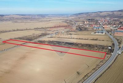 Teren de 10168 mp, în Brateiu - 6