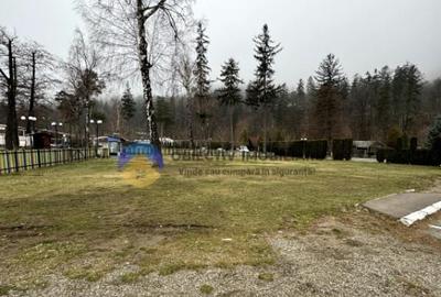 Teren investitie in strand Piatra Neamt - 8