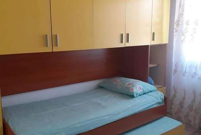 Apartament cu 2 camere nedecomandat în Beba Veche - 3